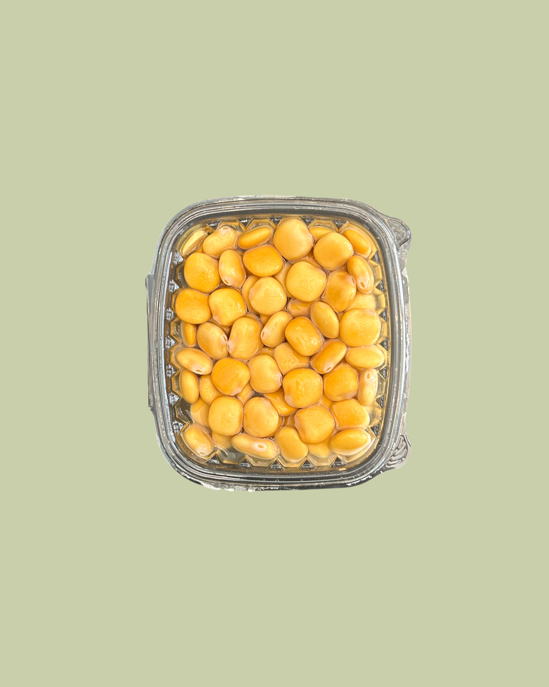 Lupini Beans